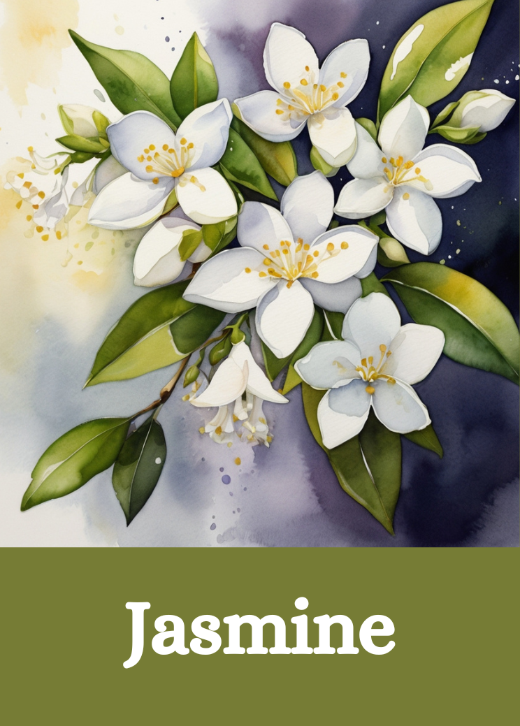 Professional Wine Aroma Training Card - Blind Wine Tasting Education Tool