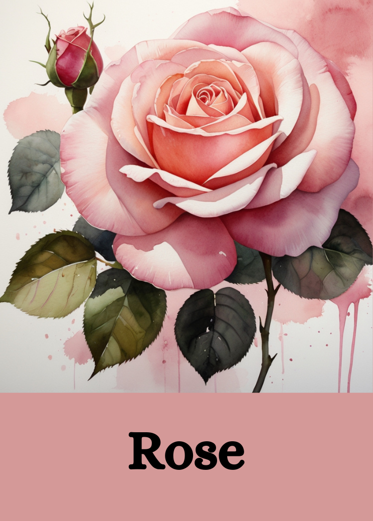 Wine Aroma Flash Card - Interactive Wine Education for Sommelier Training