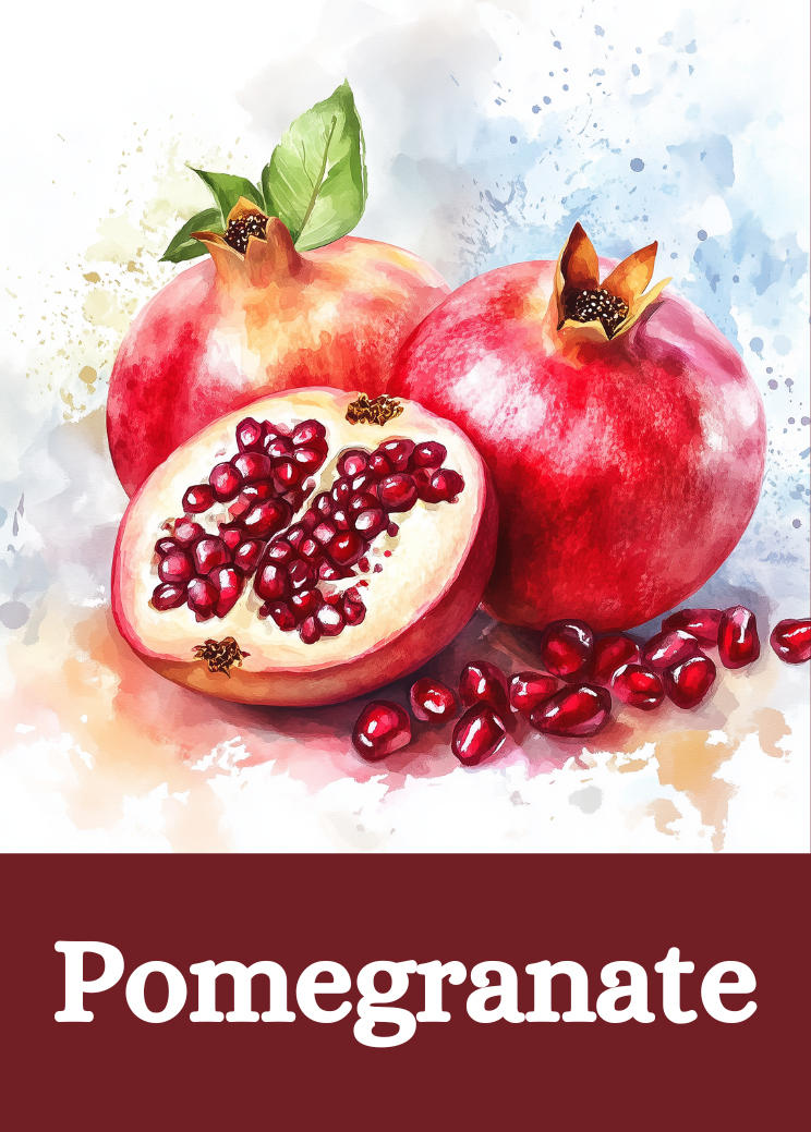 Pomegranate Wine Aroma Card - Wine Sensory Training Tool for Aroma Identification